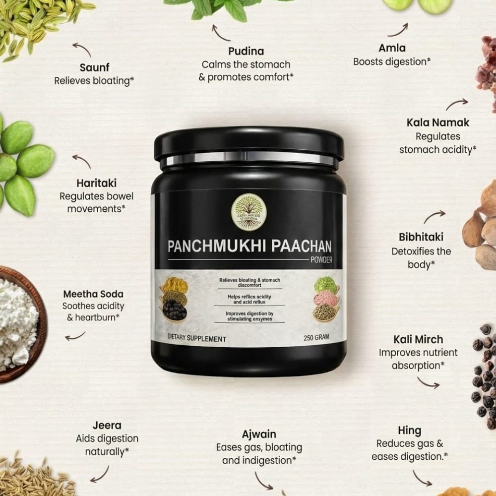 WhatsApp Image 2025-12-27 at 9.46.41 AM (1)